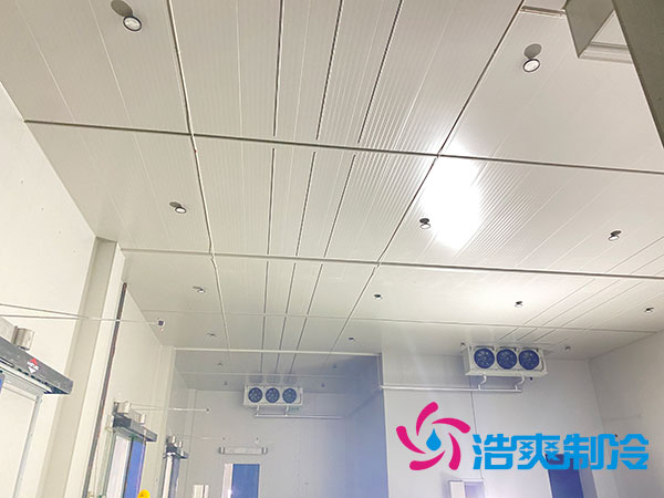 大型水蜜桃在线视频建设多少钱一平方？