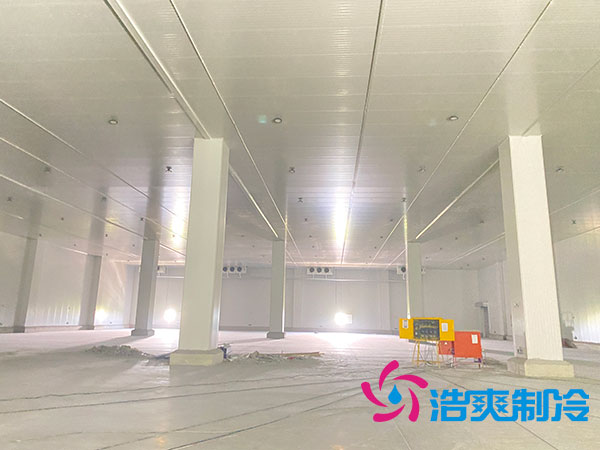 大型水蜜桃在线视频建设多少钱一平方？