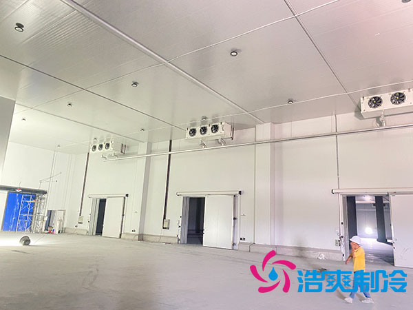 北京速冻水蜜桃在线视频安装公司-蜜桃视频观看在线制冷