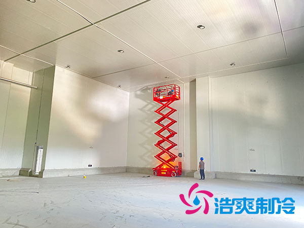 北京速冻水蜜桃在线视频安装公司-蜜桃视频观看在线制冷