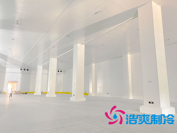 大型农产品蔬菜保鲜水蜜桃在线视频设计方案-蜜桃视频观看在线制冷