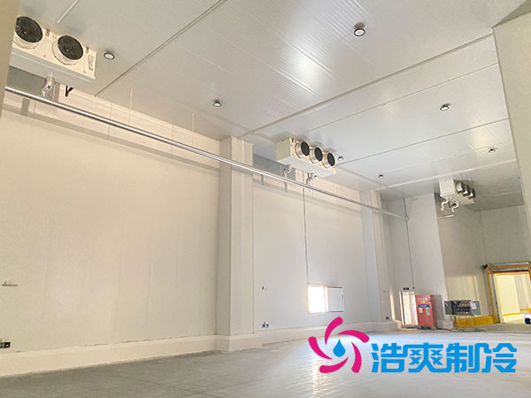 宁波农产品保鲜库建造设备价格多少钱？-蜜桃视频观看在线制冷