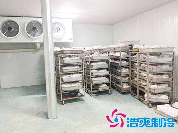 速冻水蜜桃在线视频设备预算方案-蜜桃视频观看在线制冷