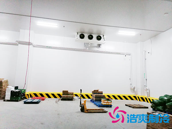 宁波低温冷冻库建造价格多少钱？-蜜桃视频观看在线制冷