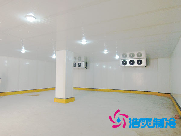新疆酒店双温水蜜桃在线视频建设需求-蜜桃视频观看在线制冷