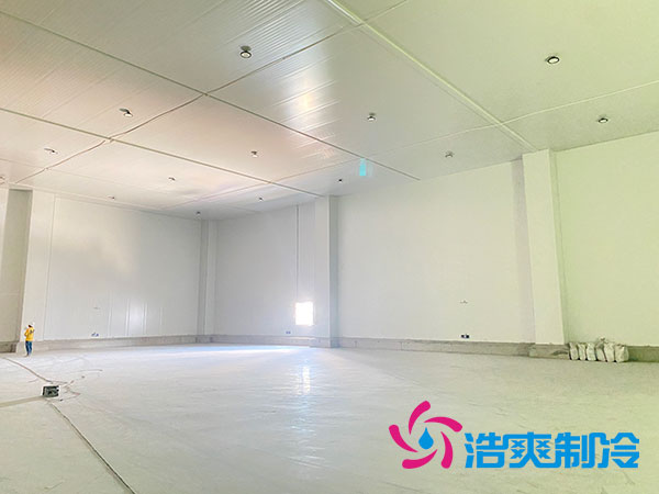 新疆酒店双温水蜜桃在线视频建设需求-蜜桃视频观看在线制冷