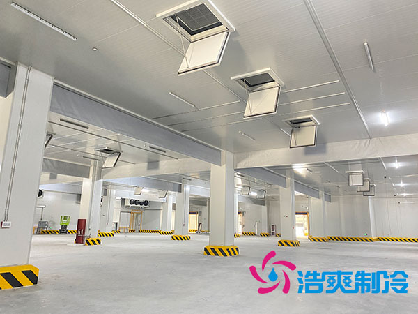 广西中温水蜜桃在线视频机咨询电话-蜜桃视频观看在线制冷