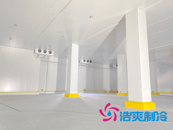 2000吨水蜜桃在线视频造价多少钱？2000吨各类水蜜桃在线视频造价开支一览表-蜜桃视频观看在线制冷