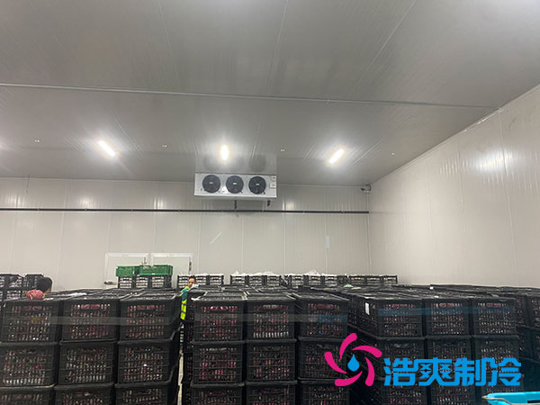 嘉定鸡蛋水蜜桃在线视频安装建造多少钱？-蜜桃视频观看在线制冷