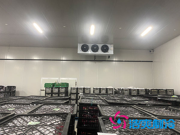 嘉定鸡蛋水蜜桃在线视频安装建造多少钱？-蜜桃视频观看在线制冷