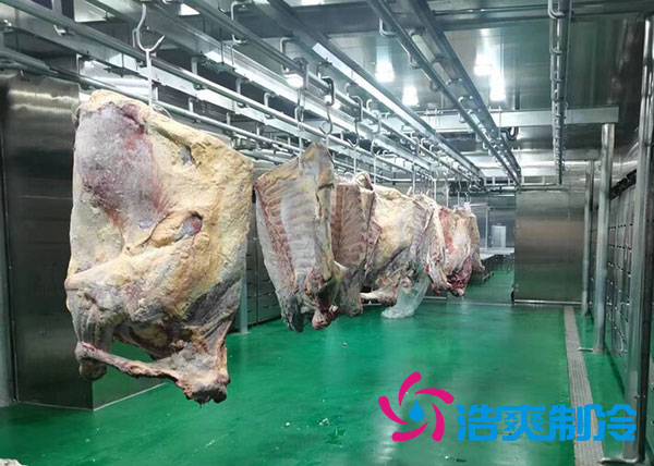 咸阳屠宰场陕西水蜜桃在线视频建造价格多少钱？-蜜桃视频观看在线制冷