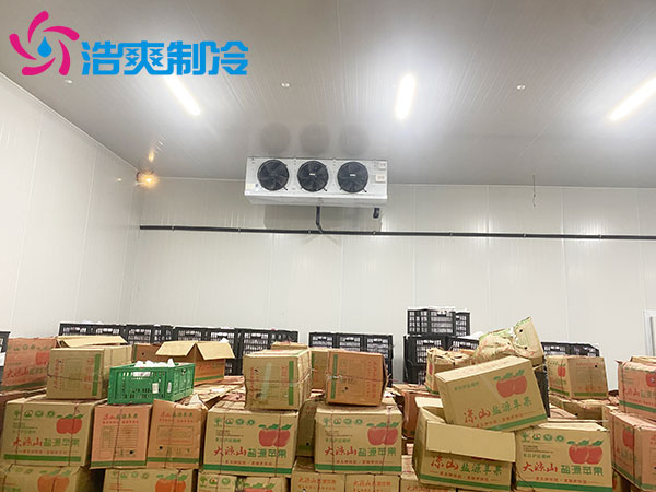 保鲜水蜜桃在线视频建造