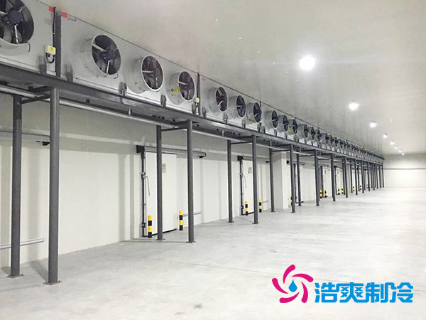 北京速冻水蜜桃在线视频安装