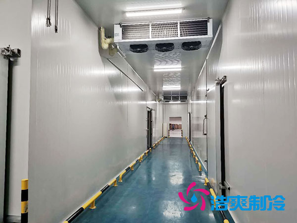山东省农村建设1000平米的冷藏库总费用解析-蜜桃视频观看在线制冷