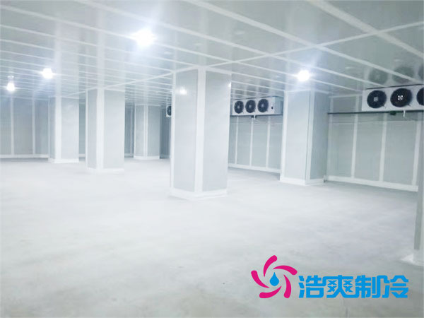 气调库与保鲜库有区别吗？-蜜桃视频观看在线制冷