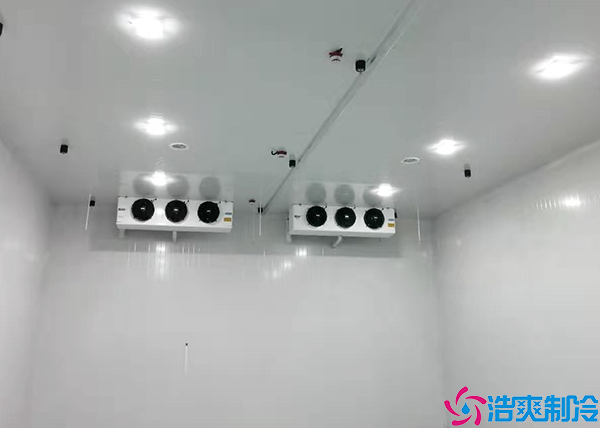 火龙果水蜜桃在线视频