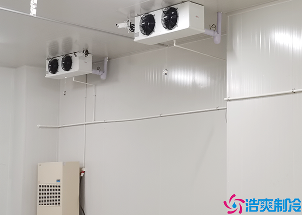 水蜜桃在线视频液氨制冷