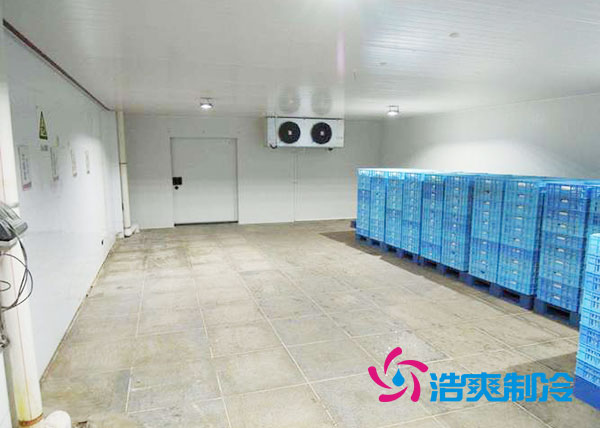 零下50度超低温水蜜桃在线视频建设方案及措施-蜜桃视频观看在线制冷