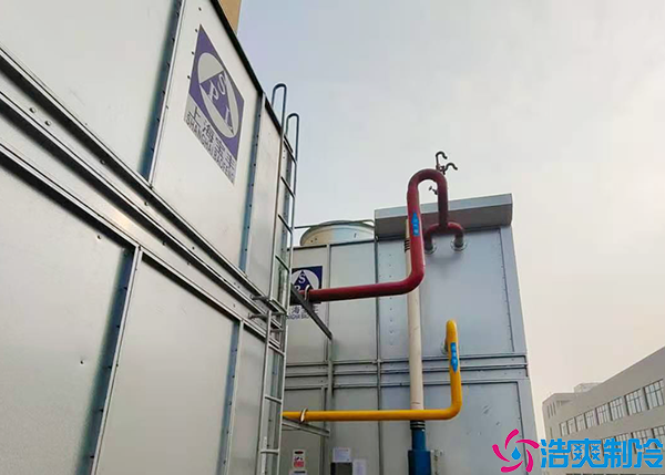 排酸速冻水蜜桃在线视频