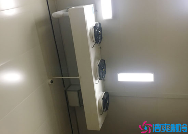 双温水蜜桃在线视频