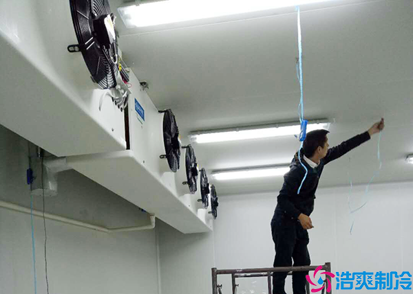 水果保鲜水蜜桃在线视频