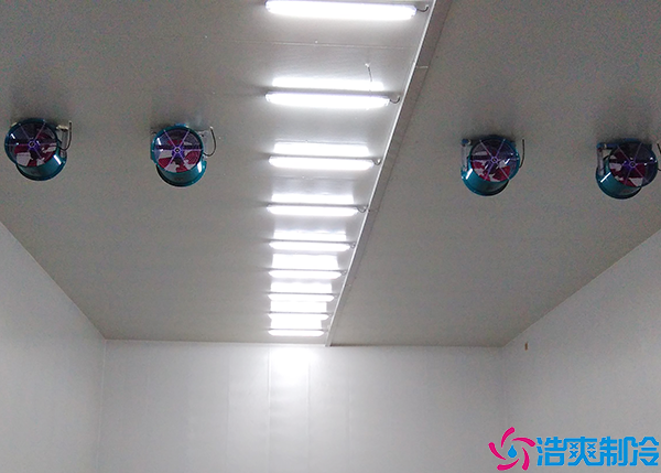 水蜜桃在线视频建设
