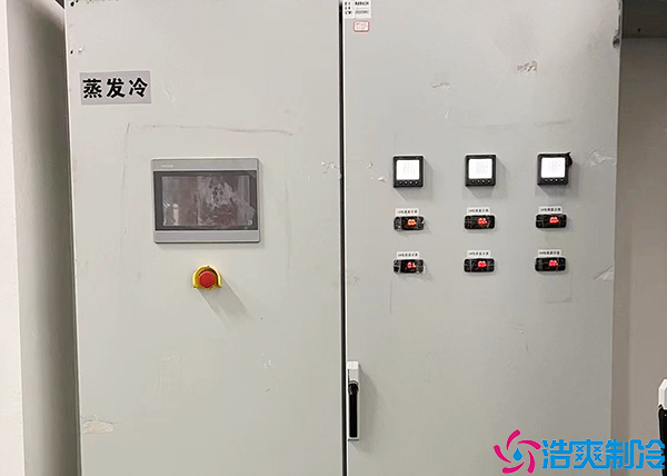 食品水蜜桃在线视频