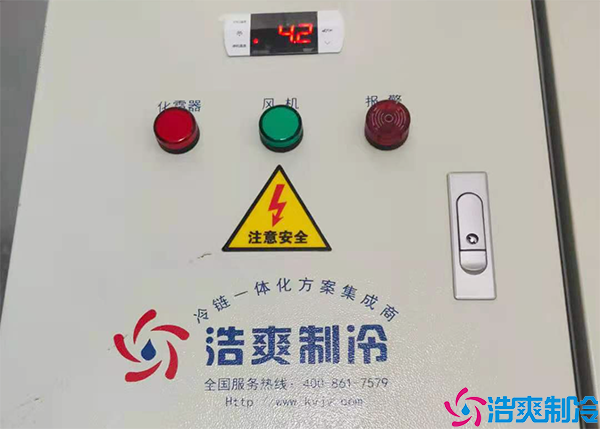 生鲜冷链水蜜桃在线视频