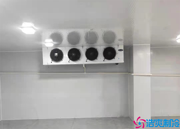 气调水蜜桃在线视频
