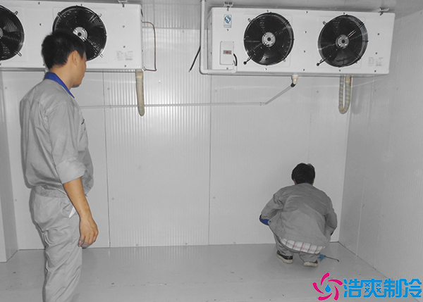 速冻水蜜桃在线视频