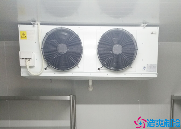 民用水蜜桃在线视频