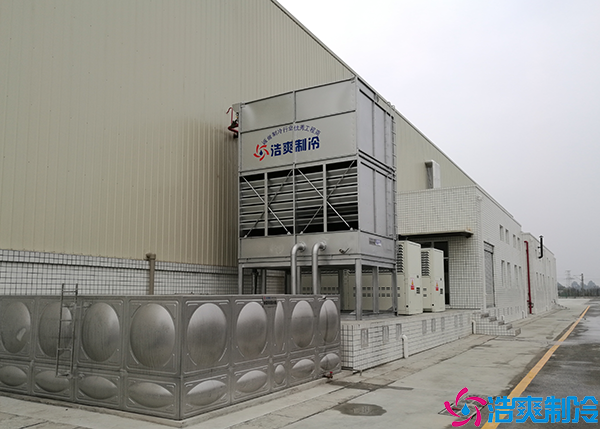 大型水蜜桃在线视频