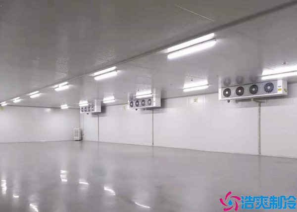 三甲水蜜桃在线视频