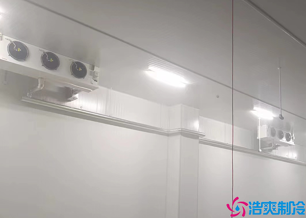 移动水蜜桃在线视频