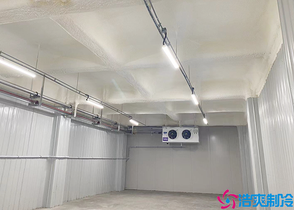水蜜桃在线视频建造