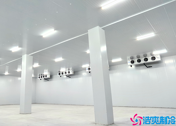 水蜜桃在线视频建造