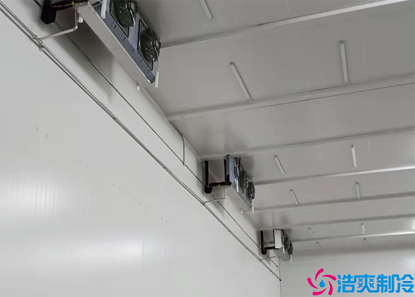 定制水蜜桃在线视频