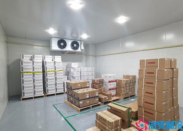 冷链食品水蜜桃在线视频