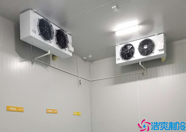 水蜜桃在线视频建造