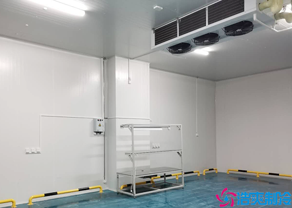 大型生鲜水蜜桃在线视频