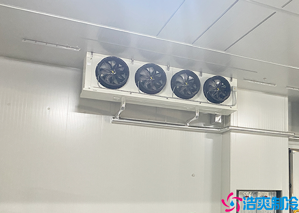 大型鲜花水蜜桃在线视频