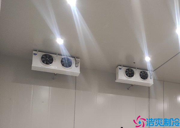 生鲜水蜜桃在线视频