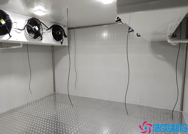 排酸速冻水蜜桃在线视频