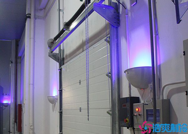 气调水蜜桃在线视频