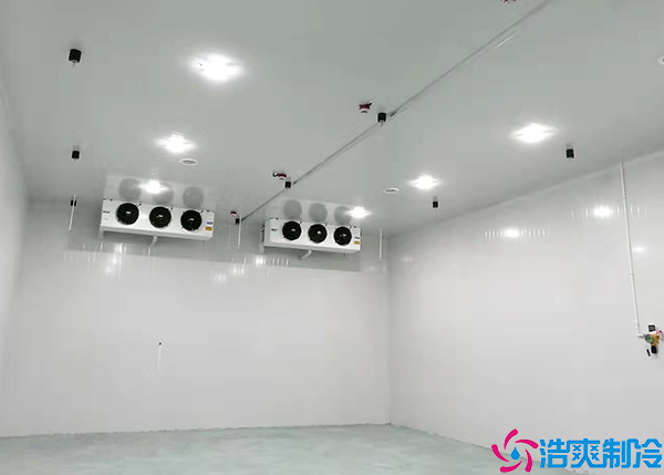 气调水蜜桃在线视频