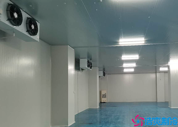 冷链食品水蜜桃在线视频