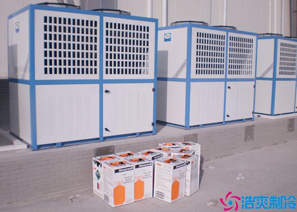 低温水蜜桃在线视频