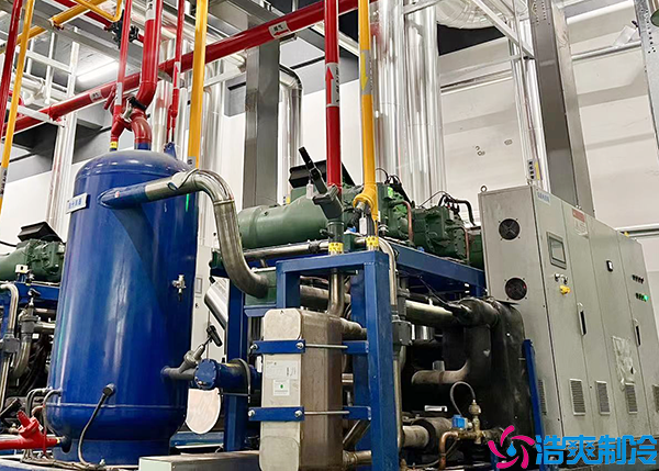 大型水蜜桃在线视频的机组设计与安装方案