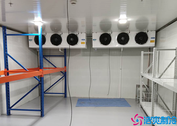 花卉水蜜桃在线视频