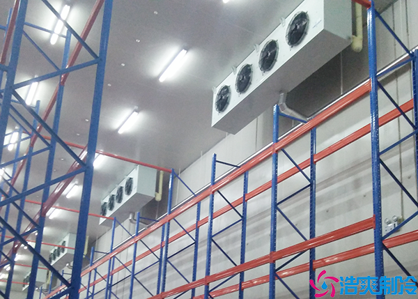 蔬菜保鲜水蜜桃在线视频